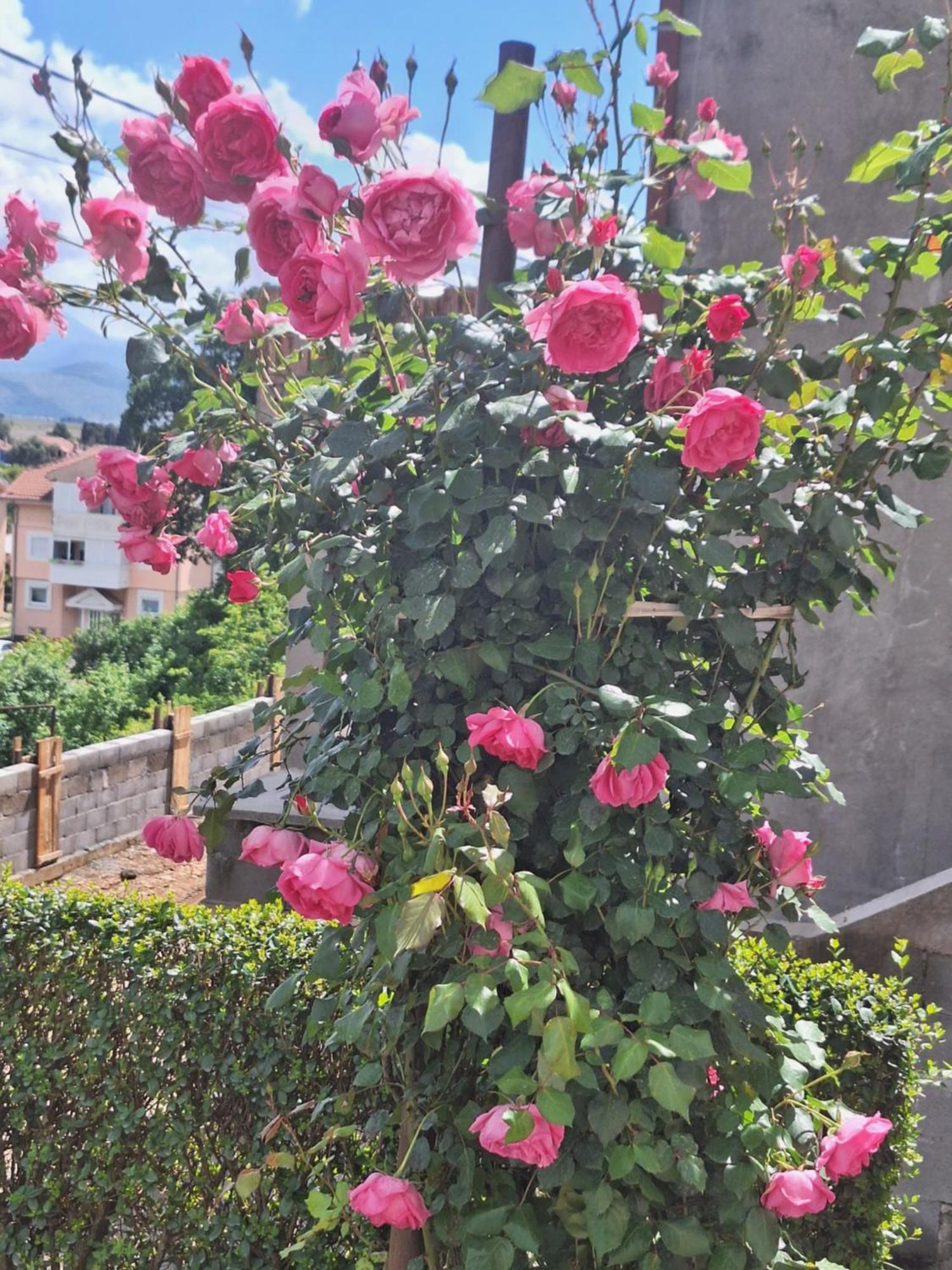 Apartmani Ruza Podgoriţa Exterior foto